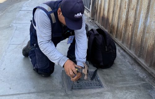 FOTO 2-600x400